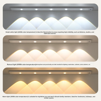 Intelligent Led Human Body Sensor Light
