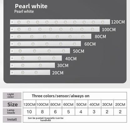 Intelligent Led Human Body Sensor Light